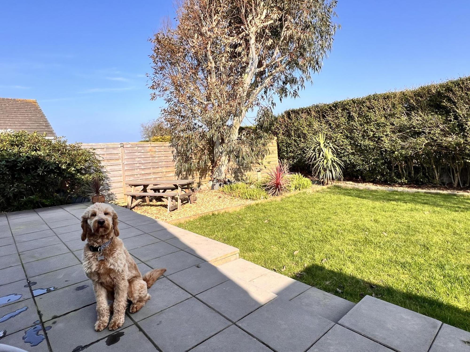 Stylish Modern Home With Parking Enclosed Garden Holyhead Εξωτερικό φωτογραφία